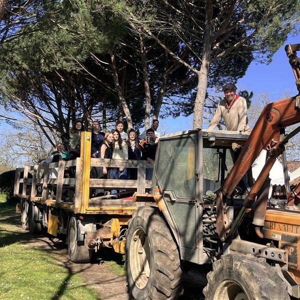 Immersion dans le tourisme folklorique